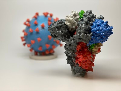 Sars Cov 2 Spike Protein Sars Cov 2 Spike Protein