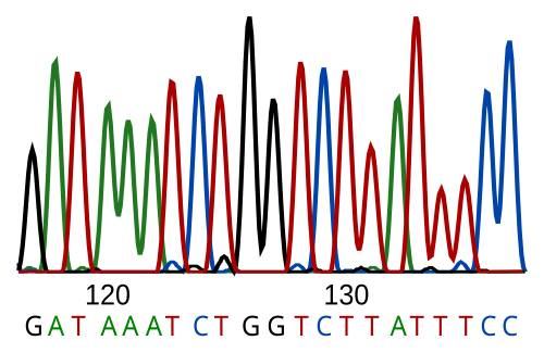 DNA helix illustration DNA helix illustration